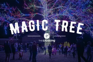Magic-Tree_Web-Event Magic-Tree_Web-Event