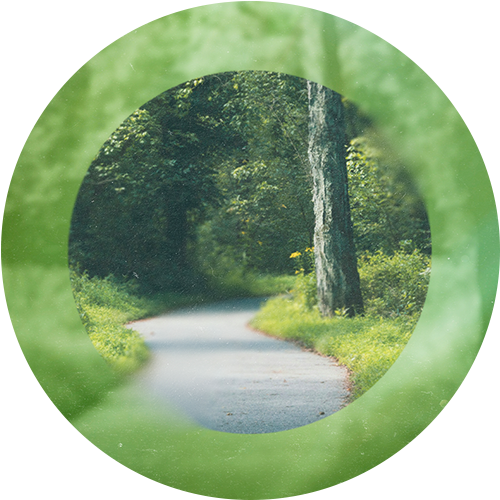 Things to do in Columbia this Spring_PP