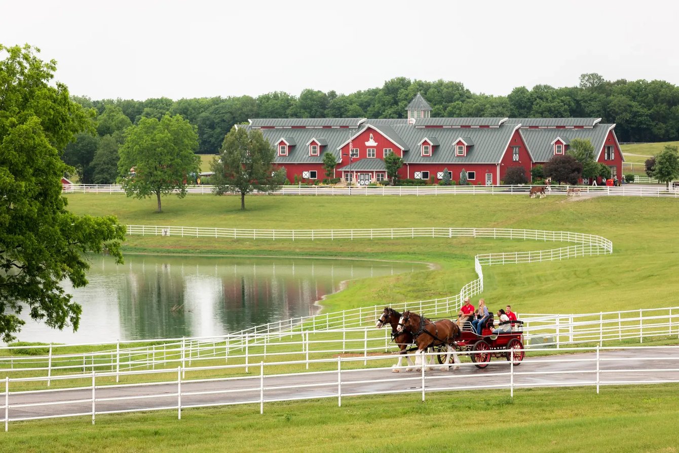 Spring in Columbia, Missouri: 12 Must-Do Activities for Family & Friends