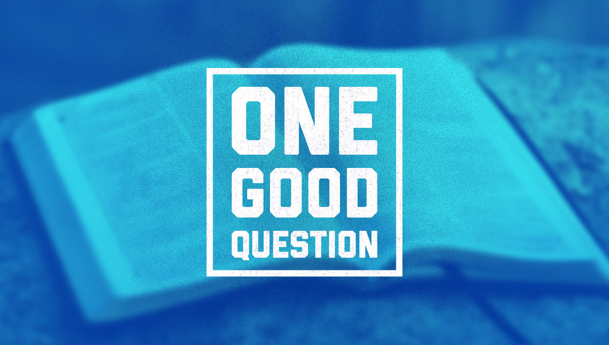 Cover of One Good Question series with an open bible in the background